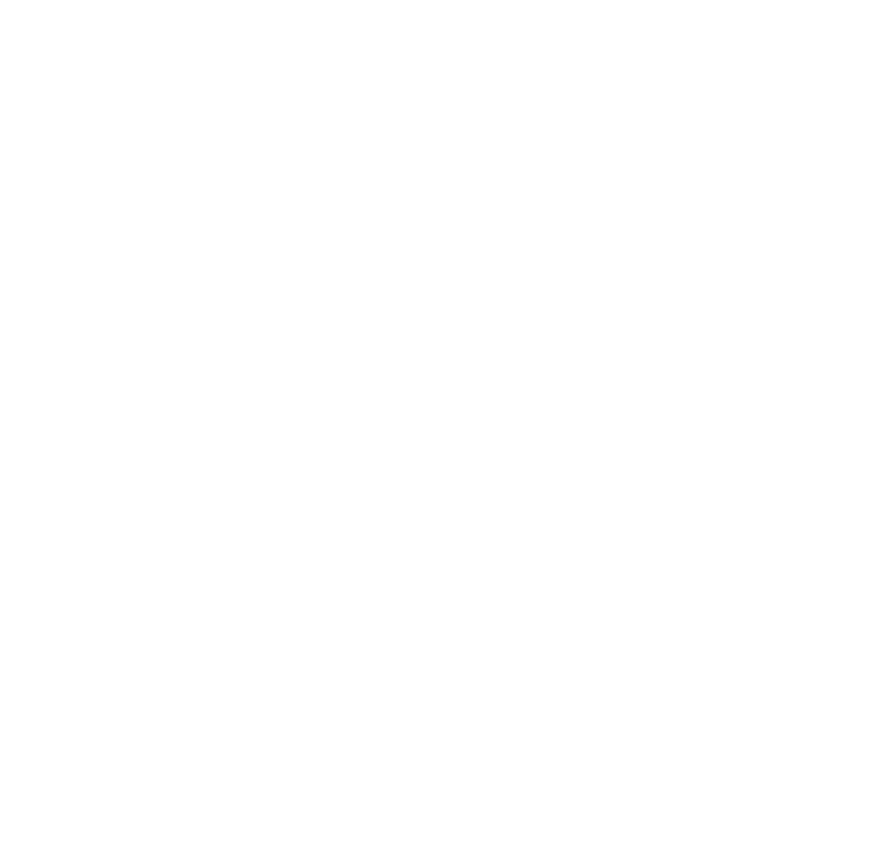 foundation logo white