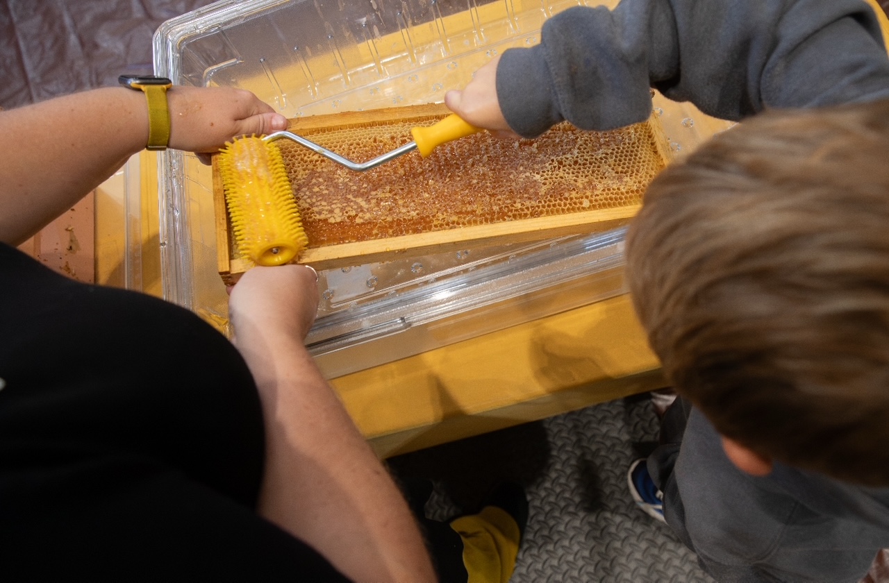 Honey Extraction Honey Extraction